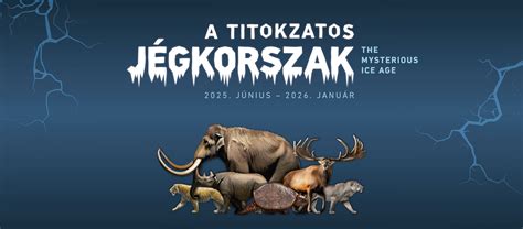 A TITOKZATOS ISKOLAI FÉNYSZÓRÓ